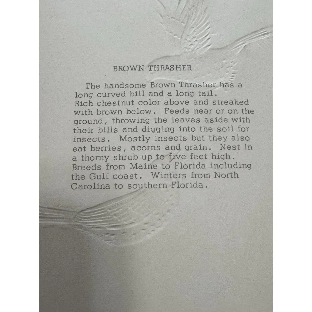 VTG A Sunshine Card Birds Embossed‎ Made In USA Nature Country READ